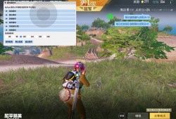 和平精英（鹤童）辅助全面支持鸿蒙系统